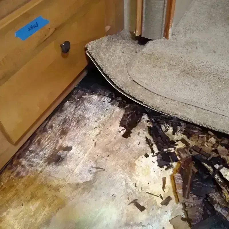 Wood Floor Water Damage in Chandler, AZ